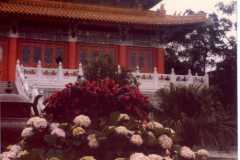 Hong-Kong-Lantau-Island-Po-Lin-Monastry-505