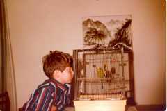 Hong-Kong-looking-after-shool-budgie-weekend108