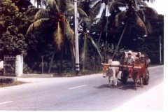 Singapore-Mersing-journey-through-Malaysia-891