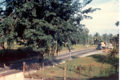 Singapore-flat-556a-Sembawang-Road-view-from-front-9867